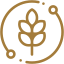 cbd-seed-co-icon-grain-circles-gold