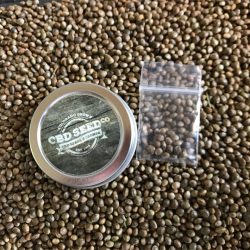 cbd-seed-co-suppliers-v3 cbd-seed-co-suppliers-v3