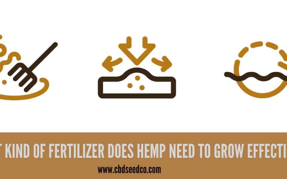 hemp fertilizers