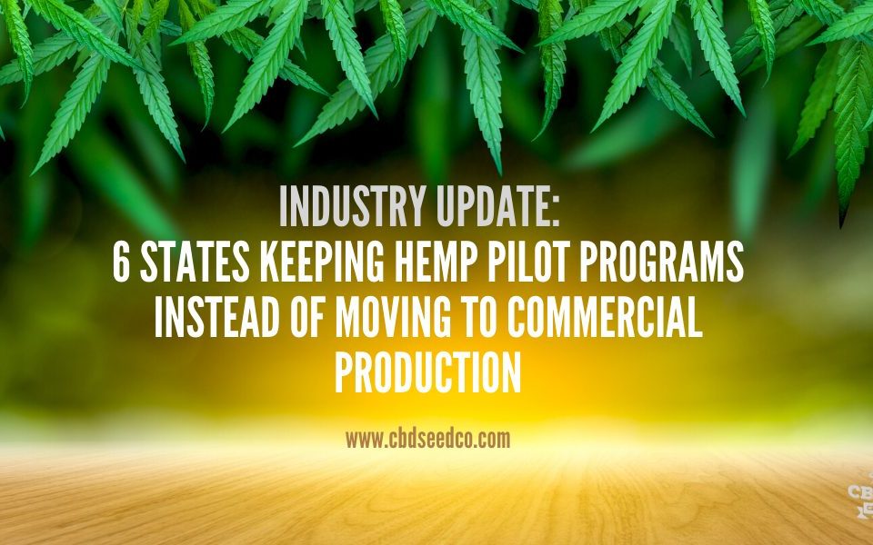 hemp industry pilot programs