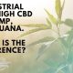 industrial hemp, high cbd hemp, marijuana. What is the difference?