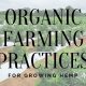 organic farming practices