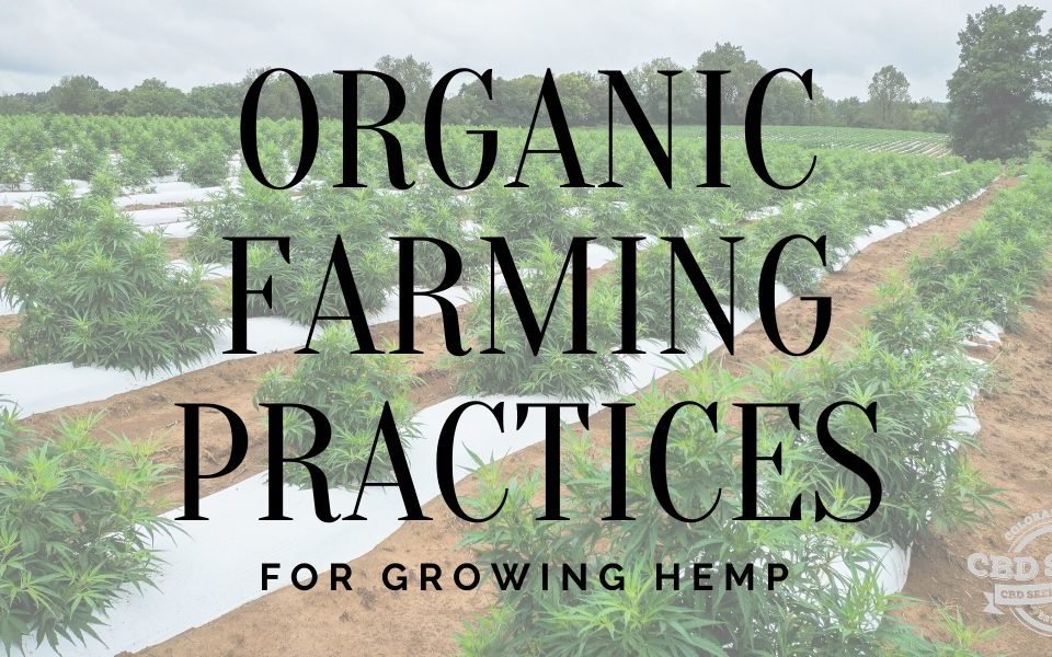 organic farming practices