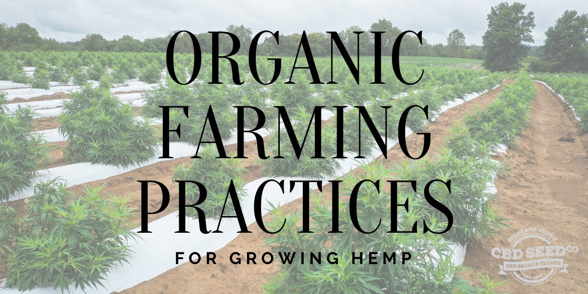 organic farming practices
