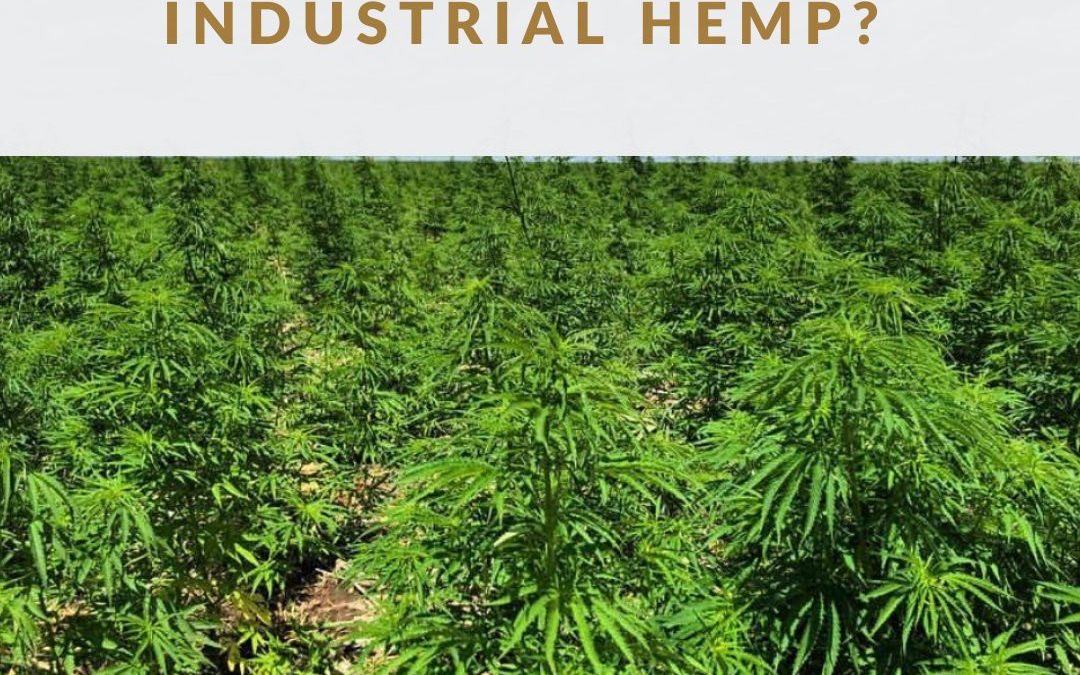 what are the applications for industrial hemp