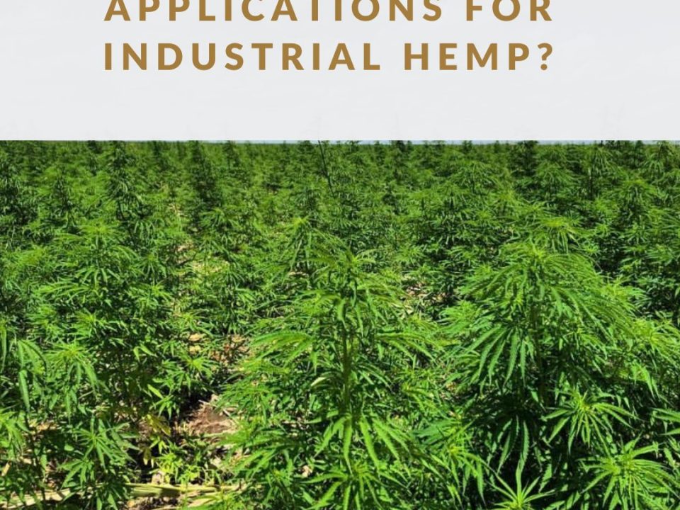 what are the applications for industrial hemp