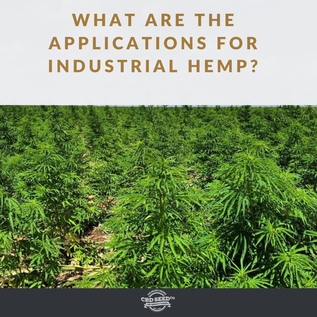 WHAT ARE THE APPLICATIONS FOR INDUSTRIAL HEMP? CBD Seed Co.