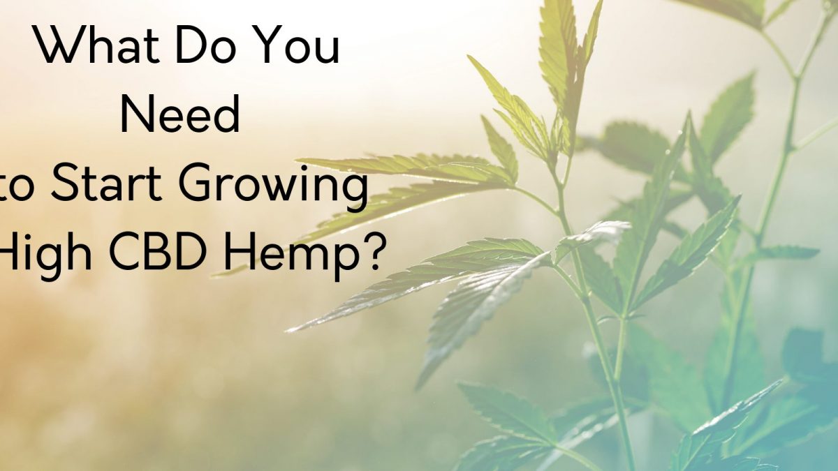 what do you need to start growing hemp