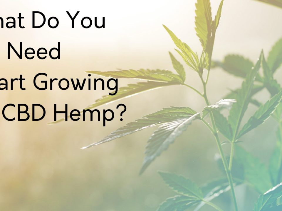 what do you need to start growing hemp