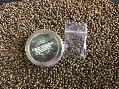 Alaska legal hemp seeds alaska legal hemp seeds