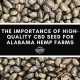 the importance of high quality cbd seed for alabama farmers