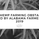 cbd seed, the hemp farming obstacles faceby alabama farmers in 2019