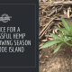 advice hemp seed growing rhode island