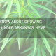 whats to know about growing cbd seed under arkansas hemp program