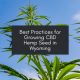 best practices for growing cbd in wyoming