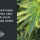 buying cbd seed tennessee