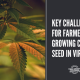 key challenges for farmers growing cbd seeds in virginia