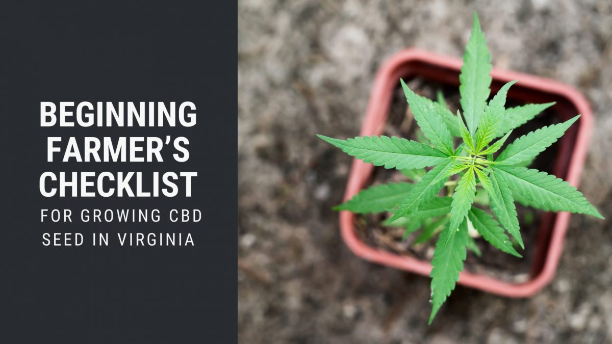 checklist growing cbd seed virgina