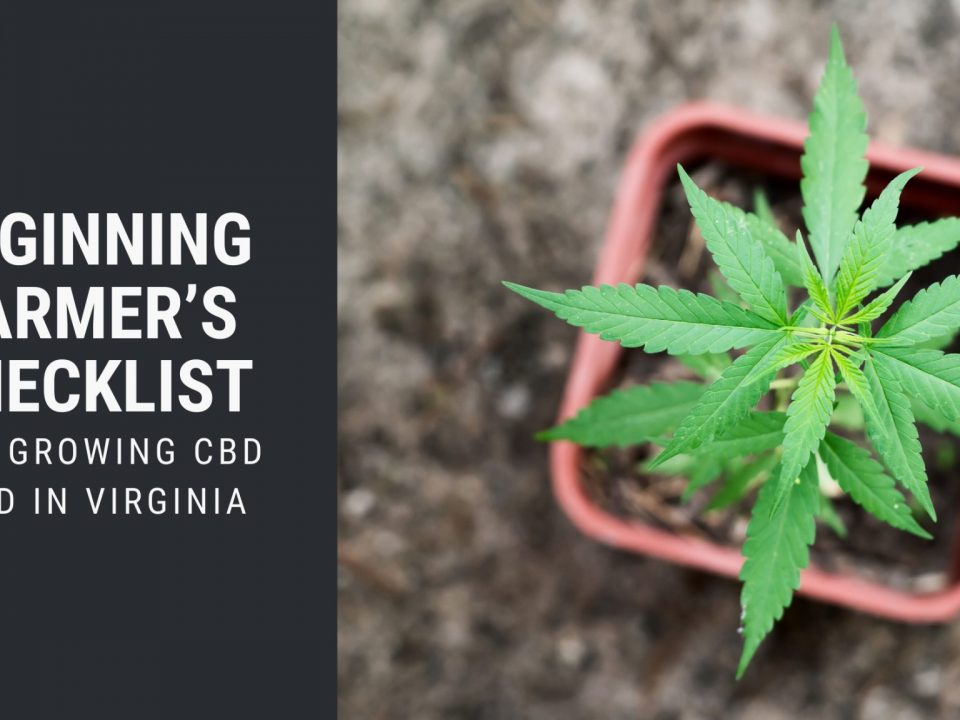 checklist growing cbd seed virgina