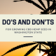 dos donts growing cbd hemp seed washington