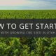 get started growing cbd seed utah