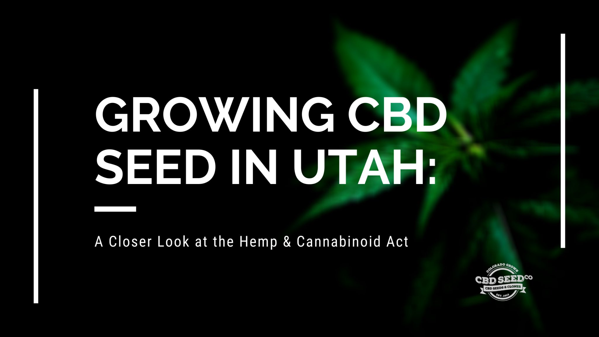 Growing CBD Seed in Utah A Closer Look at the Hemp & Cannabinoid Act