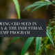 growing cbd seed virginia hemp program