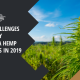 the challenges faces by arizona hemp farmers in 2019