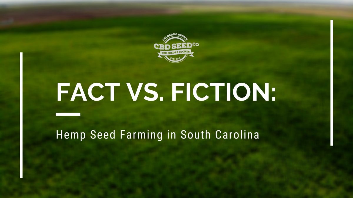 hemp seeds farming south carolina