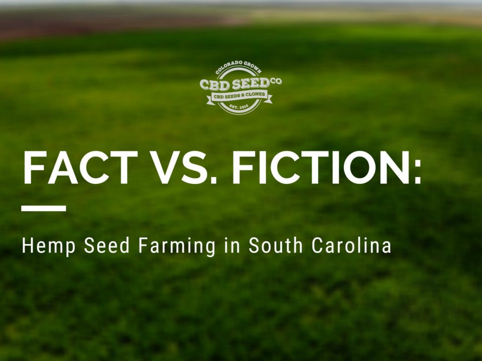 hemp seeds farming south carolina