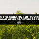 hemp field, make the most out of your 2020 hawaii hemp growing season