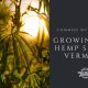 myths growing cbd hemp seed vermont