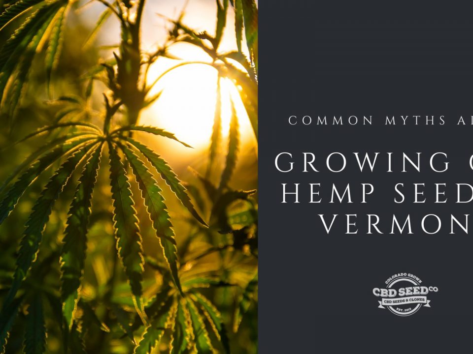 myths growing cbd hemp seed vermont