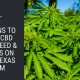 reasons grow cbd hemp seed clones texas