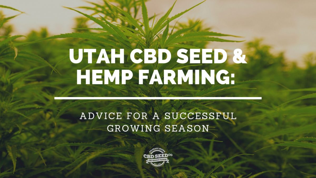 utah cbd seed and hemp farming