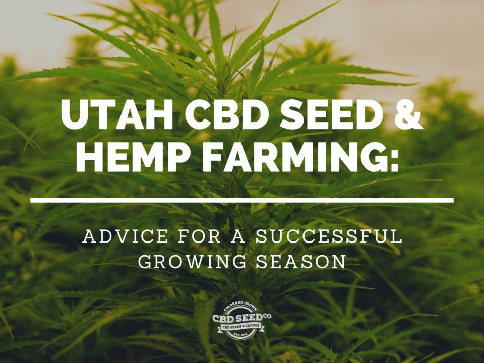 utah cbd seed and hemp farming