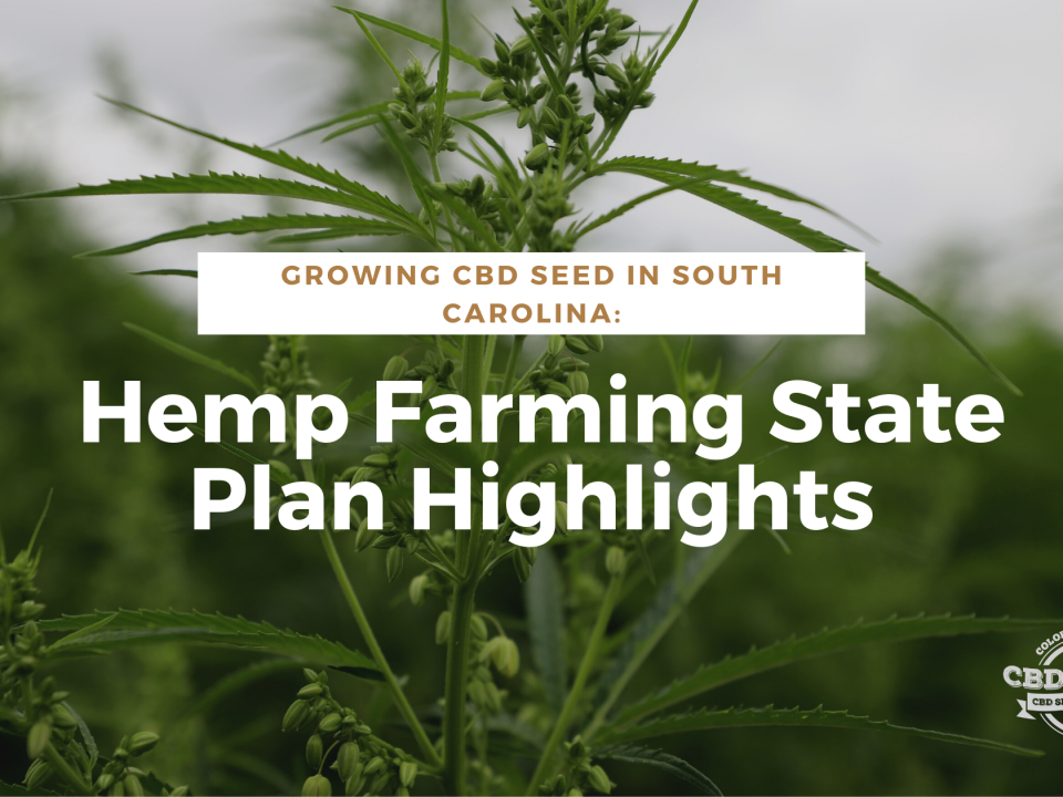 cbd seed south carolina hemp plan