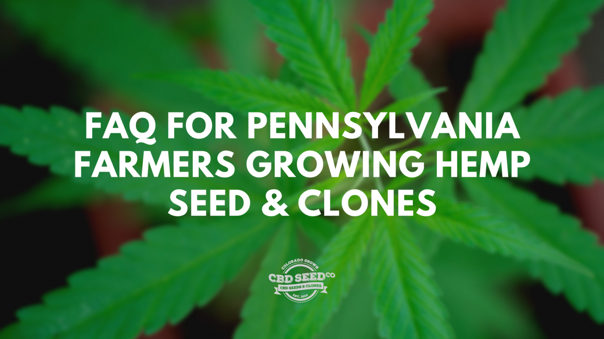 faq growing cbd seed clones pennsylvania