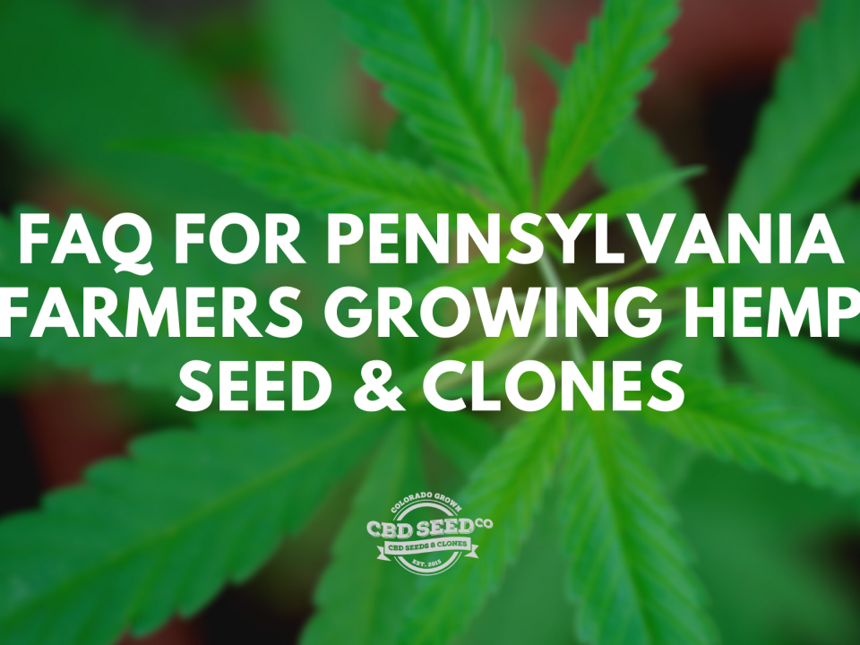 faq growing cbd seed clones pennsylvania