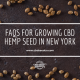 faq growing hemp seed new york