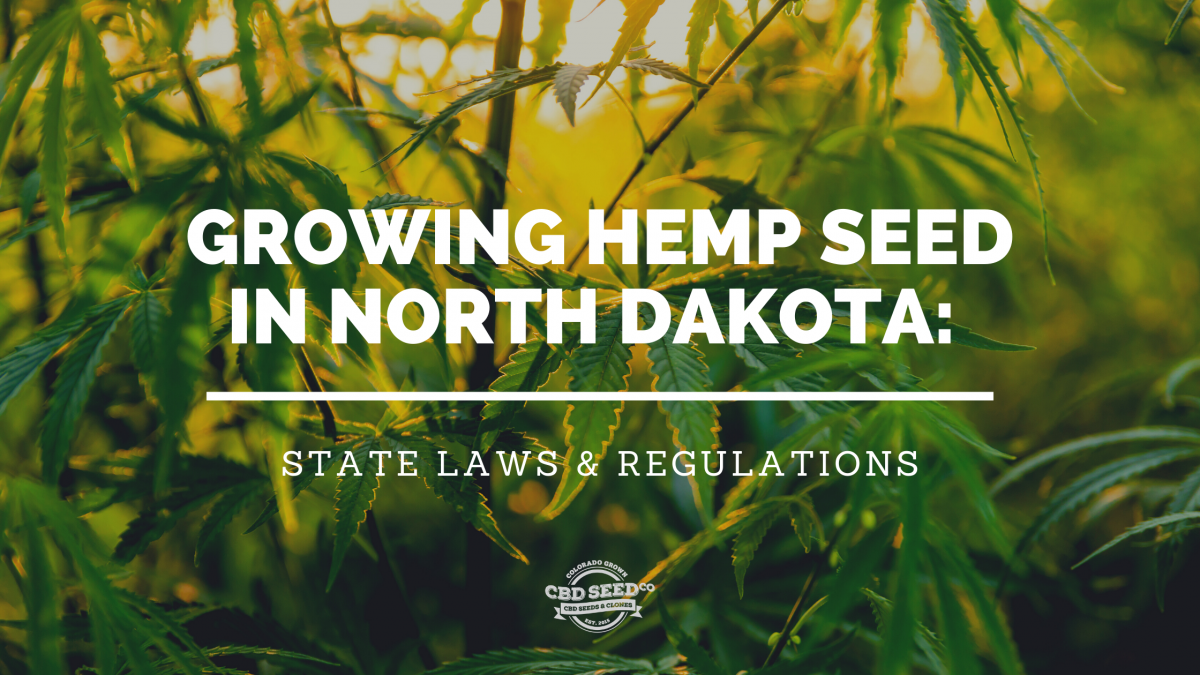 growing cbd hemp seed north dakota laws