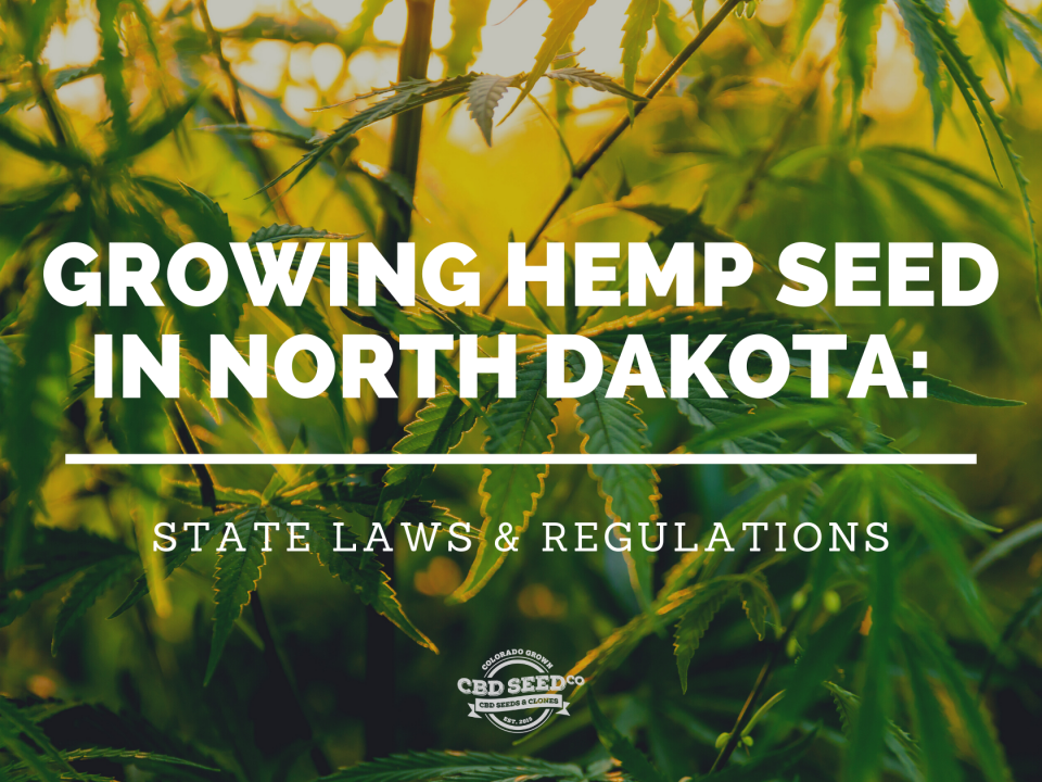 growing cbd hemp seed north dakota laws