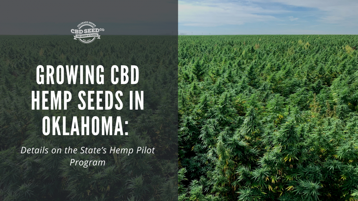 growing cbd seed okalhoma hemp laws