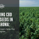 growing cbd seed okalhoma hemp laws