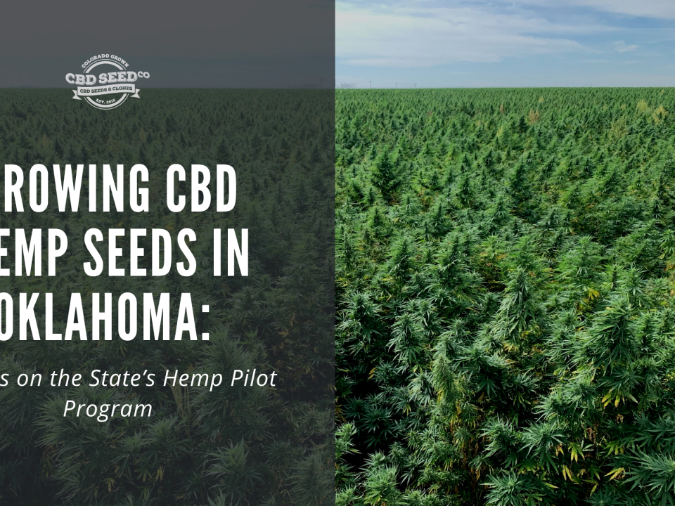 growing cbd seed okalhoma hemp laws