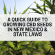 guide growing cbd seed new mexico laws