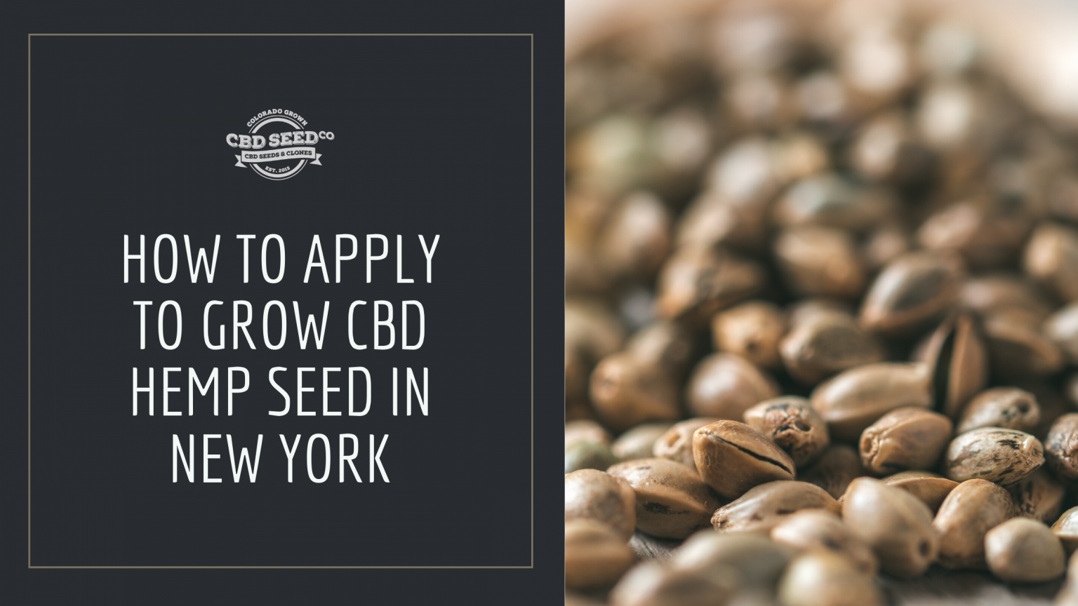 How to Apply to Grow CBD Hemp Seed in New York CBD Seed Co.