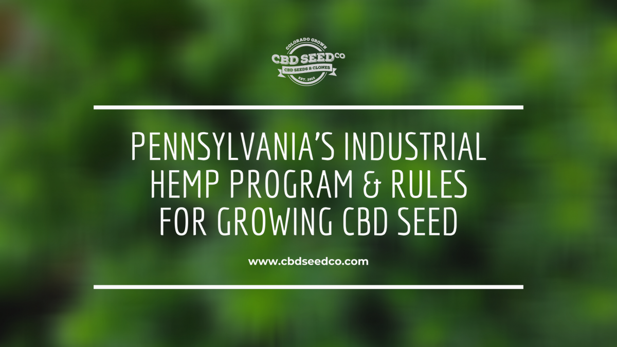 pennsylvania industrial hemp program growing cbd seed