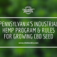 pennsylvania industrial hemp program growing cbd seed