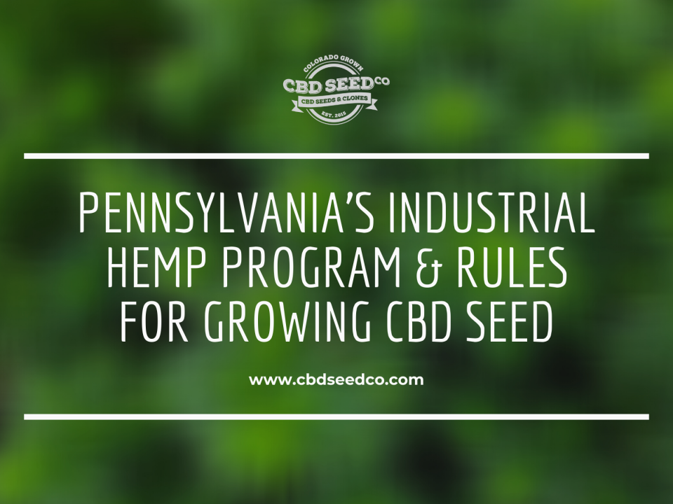 pennsylvania industrial hemp program growing cbd seed